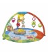 BUBBLE GYM GYMNASIO CHICCO